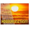 2917_org_23d2a0d778af22dda8bd3c36d2a9e528